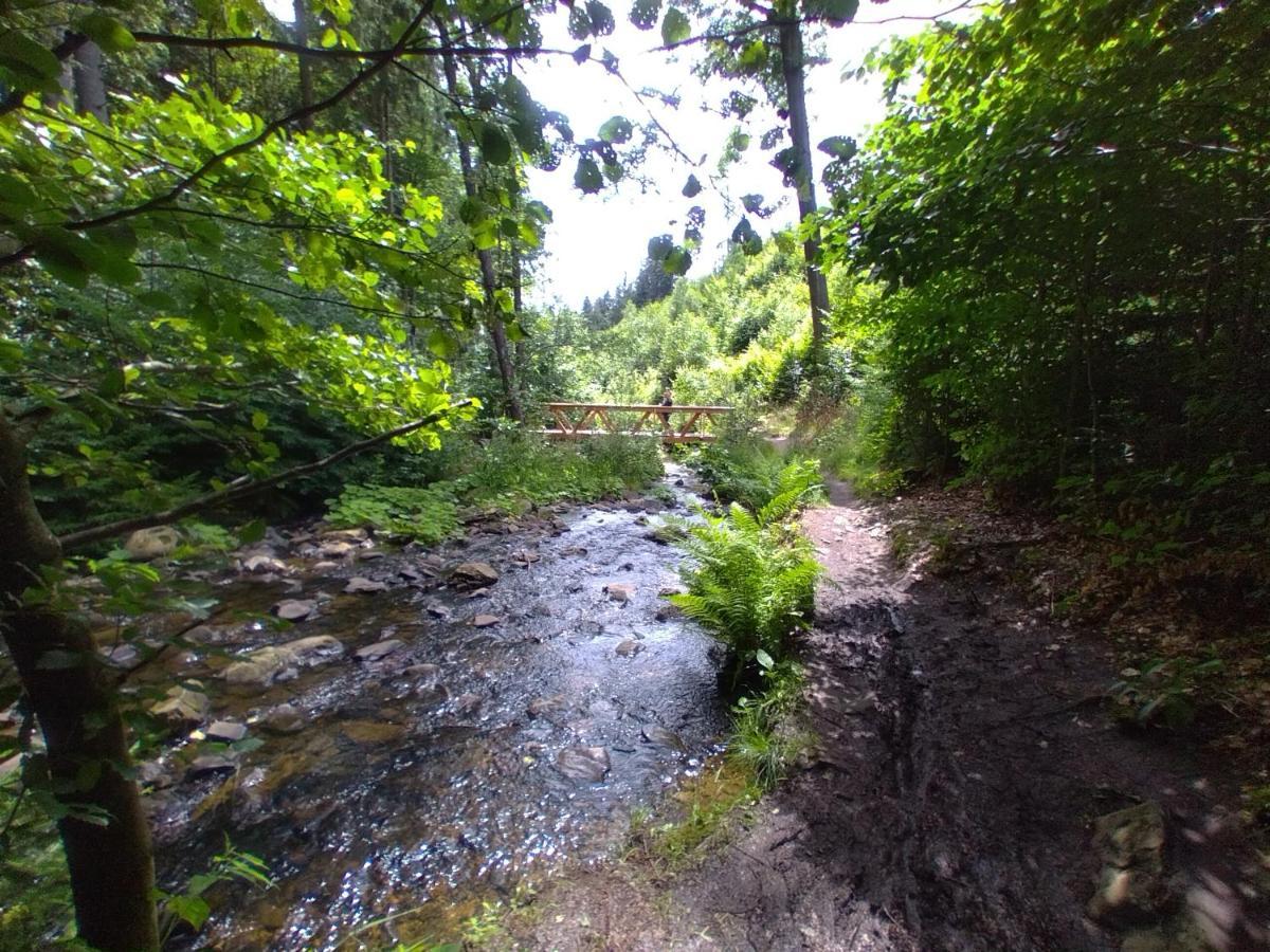 Am Pochebach * Kurort Jonsdorf