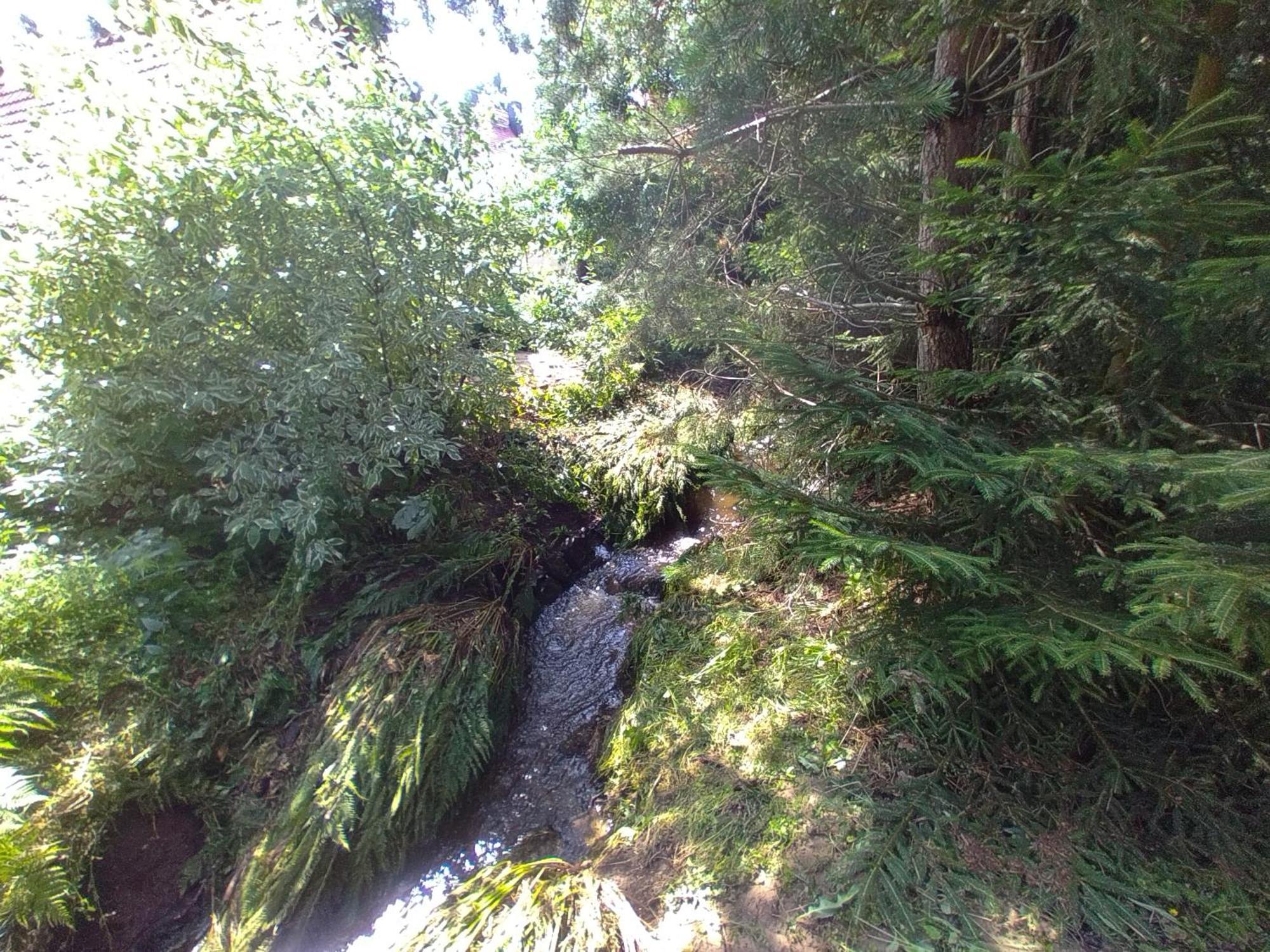 Am Pochebach *